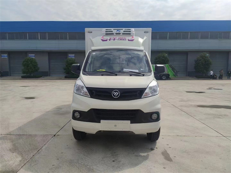6 kleiner Gefrierschrank-LKW Rad Foton Mini Refrigerator Truck 110km/H in Dubai